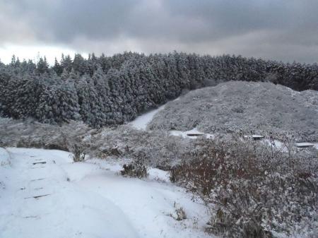つつじ園も真っ白