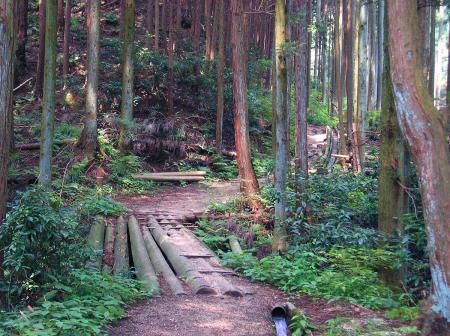 天狗谷の沢沿いの道を進んでいくが最初はなだらかだった