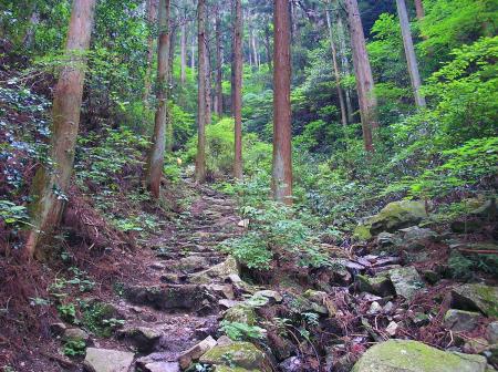 沢沿いの登山道をどんどん登っていくが階段が多くなってきた