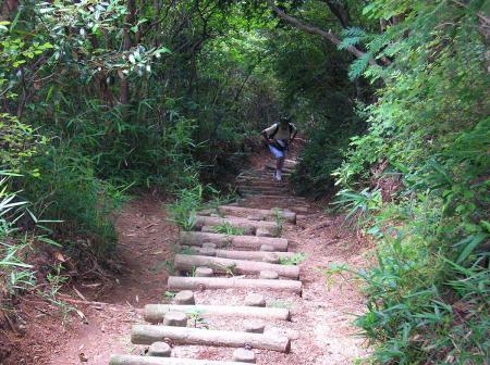 母も息をきらしながらゆっくり階段を登ってくる