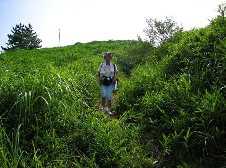 さっさと下山するけど他の登山道は調べてなかったのでピストンして戻る