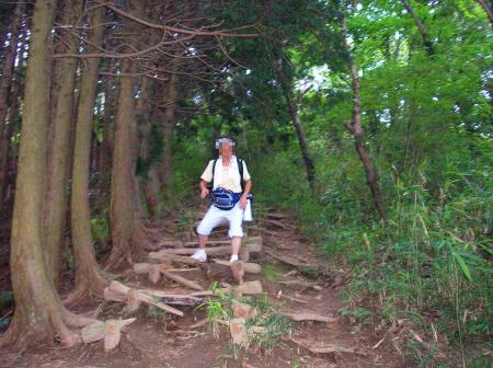 階段だらけで膝が笑いそうな下りの道