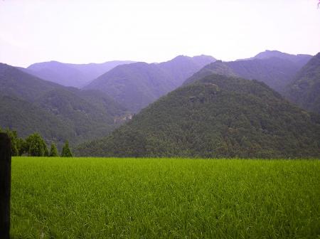 田んぼのようなところと山々が望める。ここの景色もなかなかグッドだった