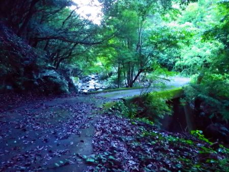 この橋で沢を渡るところくらいで林道の距離は三分の二くらいまできていると思われる
