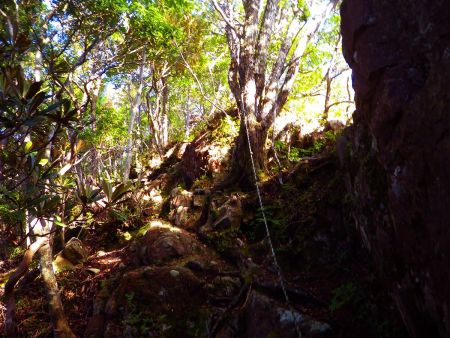 矢筈岳の山頂直下には岩のロープ場があったけど、別にロープなしでも普通に登ることはできた
