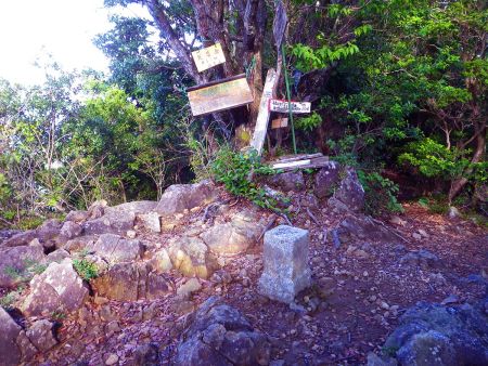 矢筈岳の山頂(811m)に到着。山頂は少し狭いピークで三角点とプレートがあった