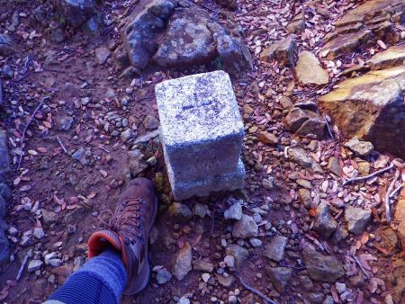 とりあえず三角点を撮影しておいた