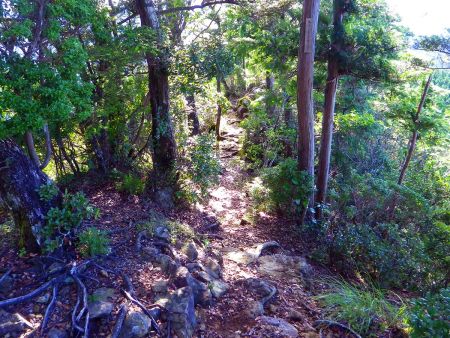 さてさっさと下山する。次があるのでサクサクと下っていくことにした