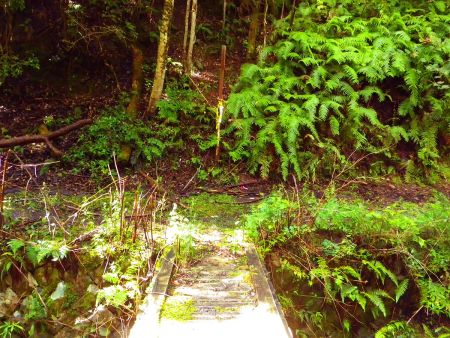矢筈岳登山口まで下ってきた。ここから長い林道歩きがはじまる