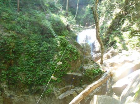 ここから巻き道だけど沢で登れるところは登る