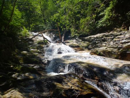 段々としているのがちょい珍しい。しかも登りやすい