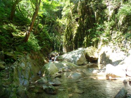 ここでコルジュが