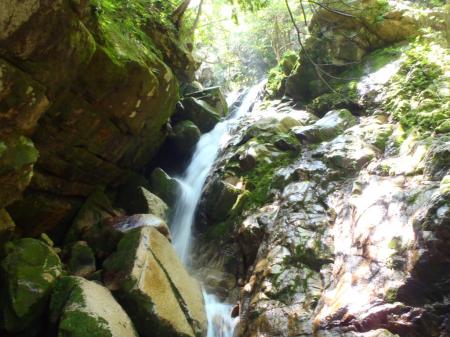 これも登れそうだったのでトップへ