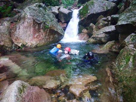 ぷかぷか浮かんで気持ちよさそう