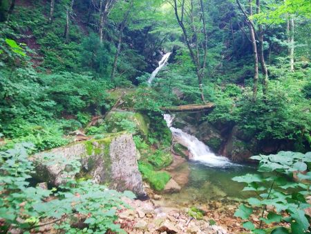 七遍返しの滝に到着。ここは橋を渡らず下から登っていく