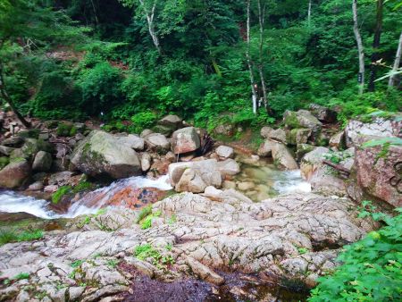大摺鉢まで下りてきた。結構登山道が長かったけど、まあそれだけ遡行したってことだよね