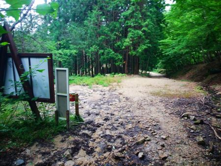 登山道入口まで下りてきた。また少し長い林道をガリバーまで歩いていく