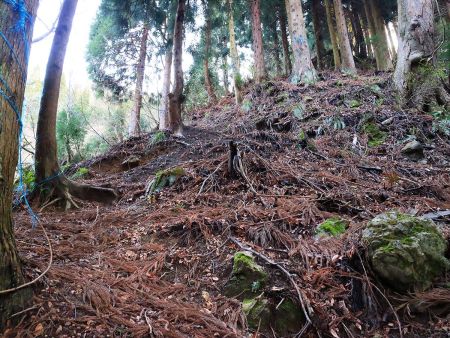 尾根の取り付きまでの登りは結構な急登が続く