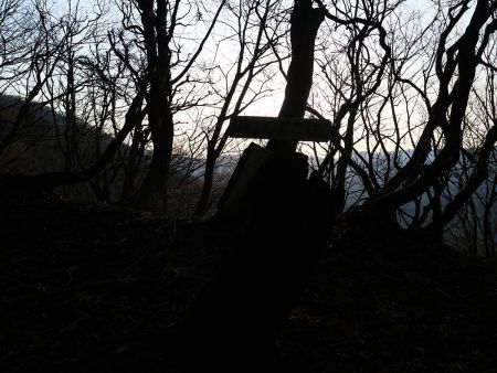 ここで尾根取り付き。距離は短かったけど急登だったが、この先の尾根道ももう少し急登が続く