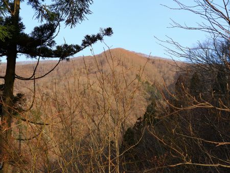 あの見えてるピークまで行くんだろうか！？まだまだ遠い。東峰があれだとするとその奥で見えてないのが横山岳ということになる
