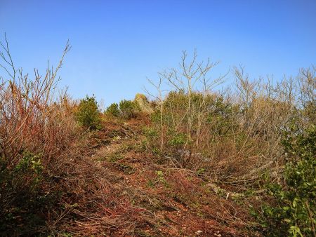 ここはピークではないけど上の岩上からは展望が広がる