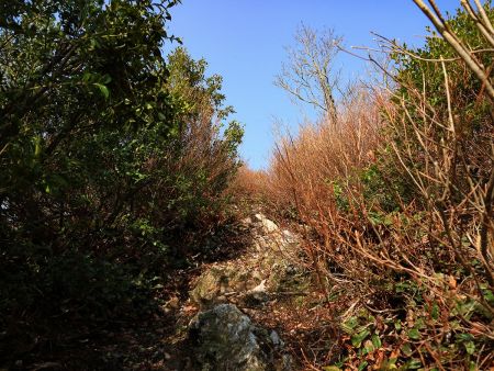 上が明るくなっているのでピーク手前だと思ったけど、東峰はこれのもう少し先だったと思われる
