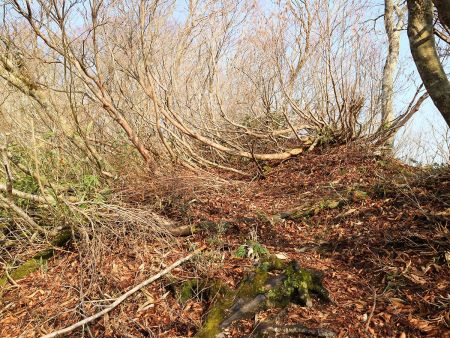 横山岳までの登山道は少しわかりにくいところがあったり、雪上を歩いたりするところがあったけど、基本は尾根道なのでわかる