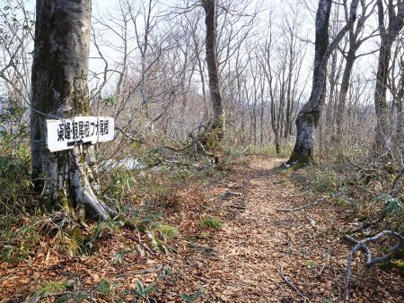 さて、さっさと下山する。次が実はあるので・・・