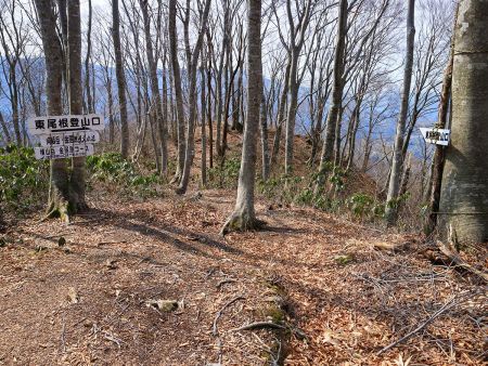 金居原コース分岐まで下ってきた。コースタイム的には早いと思う