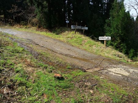 東尾根コース登山口まで下ってきた。距離的に結構あったと思うんだけど早かった