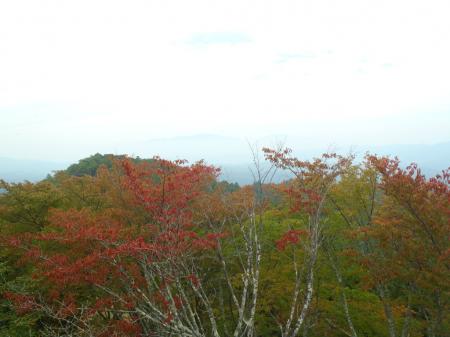 こっち方面の周りの樹林は少し紅葉がはじまってきている