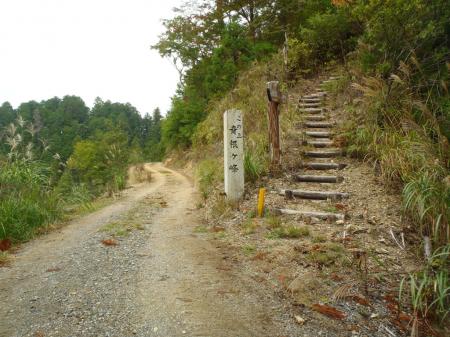 わざわざ石碑に「この上」と書いてくれている（笑）