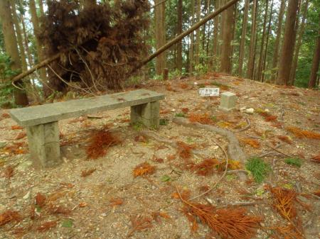 青根ヶ峰(857.9m)の山頂は展望はなし