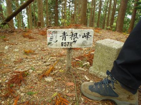 三角点があったので撮影しておく