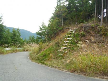 林道をさらに進むとこういうところがあり、この木のハシゴを登ると鉄塔がある。鉄塔からは高見山が良く見えたが写真は撮らなかった