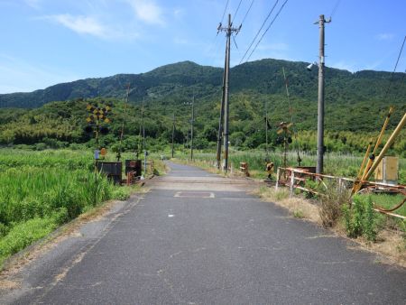 踏切を渡ってさらに道路を歩くけど長い