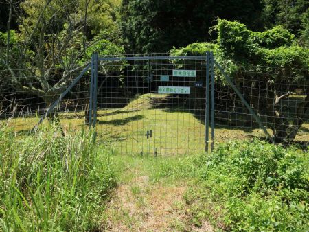 この柵の中に入っていったけど、こっちは間違った道だった