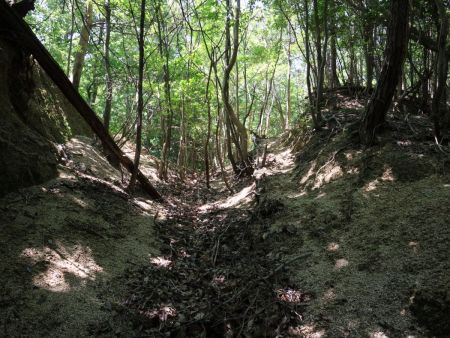 ここのコル部のところで右の尾根を登っていくと登山道に合流することがわかった