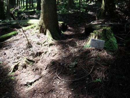 ここが半分の5合目になるのかな！？でも、ここから急登になる