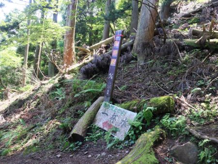 標高550m地点に到着。もうすぐ山頂みたいだけど、もうちょっと頑張らないといけない