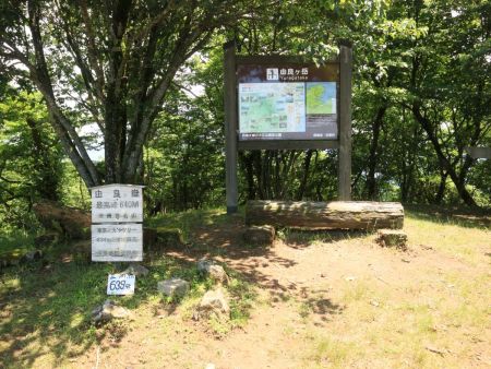 由良ヶ岳(640m)に到着。ここは西峰だけど由良ヶ岳の最高点になる