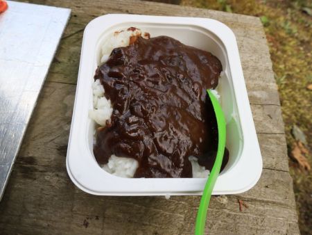 このカレーライスがめちゃくちゃ美味しかった。辛さはあまり感じなかった