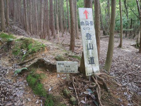 1合目まで下ってきたけど、ここで標高40mとは600mほどの標高差があったみたい