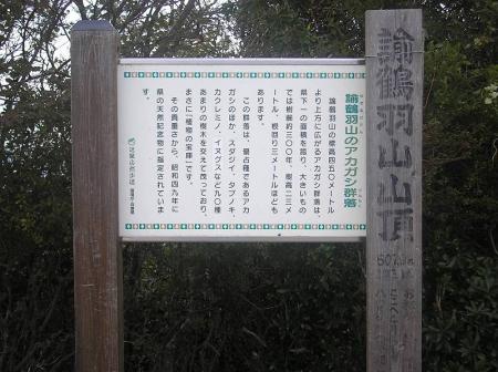 諭鶴羽山山頂(608.3m)に到着。ほとんどが林道歩きだったし、山頂直下には車が停まっていた