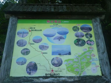 まずは展望台を経て駒の尾山山頂を目指す。ちなみに展望台と書いてるけど、みんな休憩所といっている