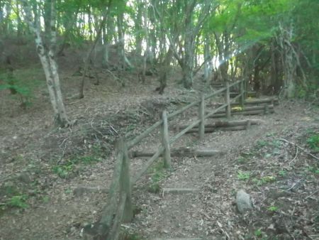 いきなり階段の登山道がはじまる。階段にしてくれているのでかなり整備はされてるぽいけどペースが乱されそう