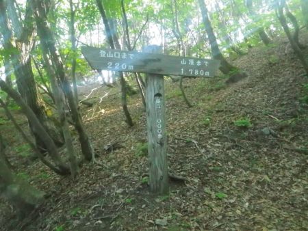 これを計算すると登山口から駒の尾山山頂までは2kmあるんだね。標高差はそこまでないと思う