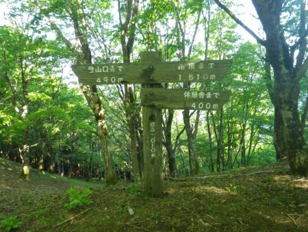 標高が1050mまで登ってきたけど、まだ山頂まで1.5km以上ある。なだらかな道が多いのかな！？