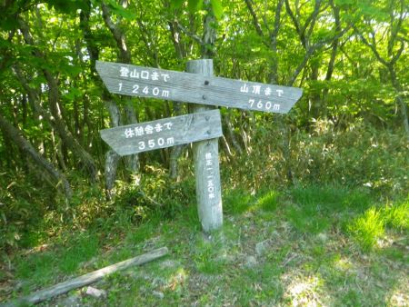 山頂まであと760mなんだけど、標高があまり稼げていない感じもする。それより暑さで体力がやられてきている