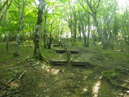 それにしても階段が続くんだね。いくら整備されていても階段だらけだとペースが乱されて疲れるのよね